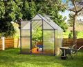 Växthus Mythos 4,6 m² Mörkgrå Canopia by Palram